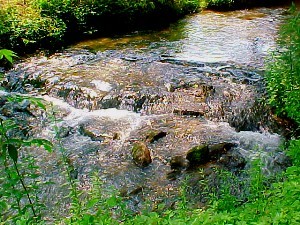 Twin Creeks